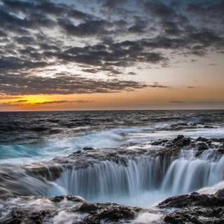 Water hole wallpaper