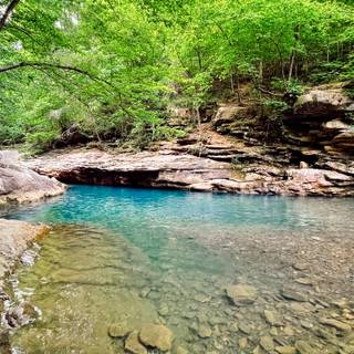 Water hole wallpaper