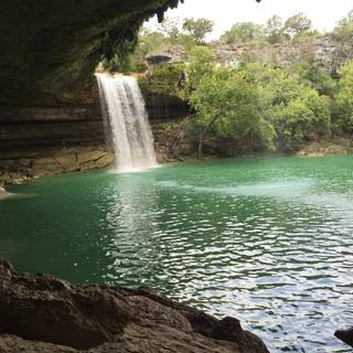 Water hole wallpaper