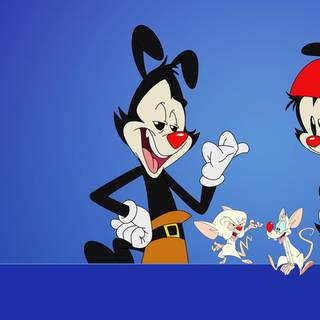 Dot Warner wallpaper