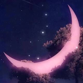 Moon painting wallpaper