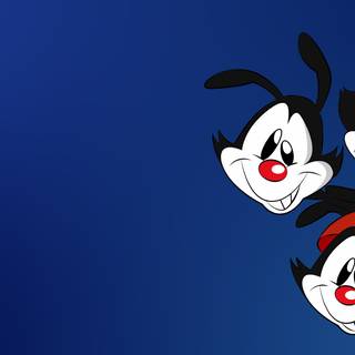 Dot Warner wallpaper