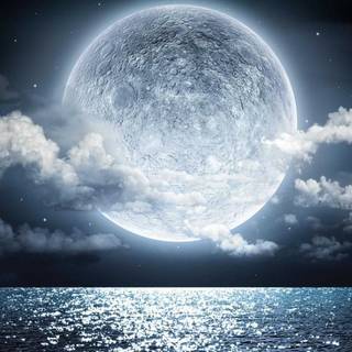 Night summer moon wallpaper