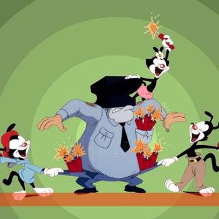 Dot Warner wallpaper