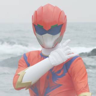 Doubutsu Sentai Zyuohger wallpaper