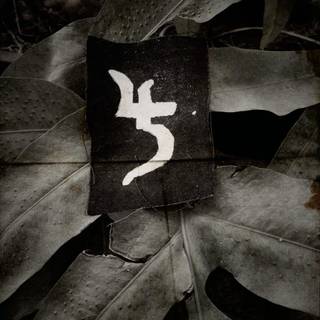 Sopor Aeternus & the Ensemble of Shadows wallpaper