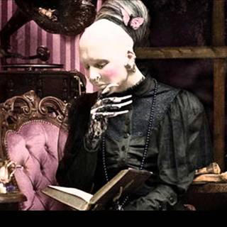 Sopor Aeternus & the Ensemble of Shadows wallpaper