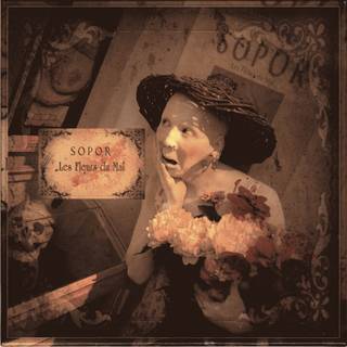 Sopor Aeternus & the Ensemble of Shadows wallpaper