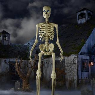 Giant skeleton wallpaper