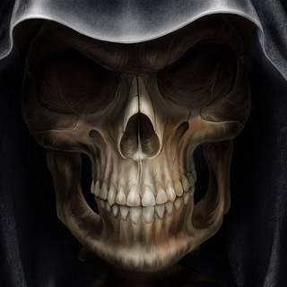 Giant skeleton wallpaper