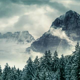 Winter panoramic wallpaper