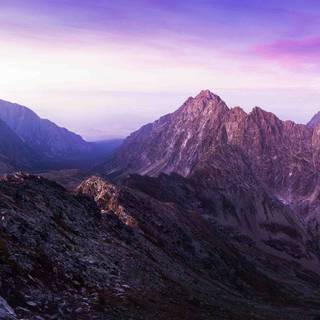 Violet mountain wallpaper