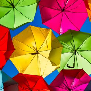 Umbrella 4k wallpaper