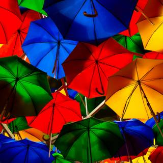 Umbrella 4k wallpaper