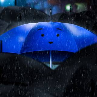 Umbrella 4k wallpaper