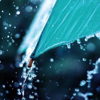 Umbrella 4k wallpaper