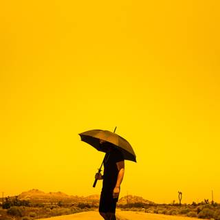 Umbrella 4k wallpaper