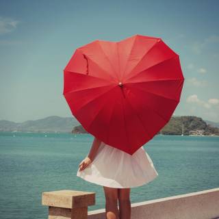 Umbrella 4k wallpaper