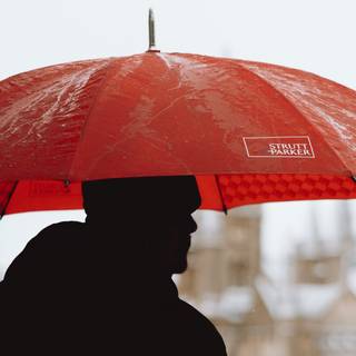 Umbrella 4k wallpaper