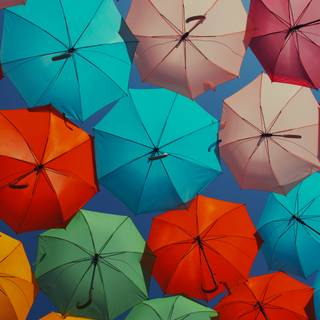 Umbrella 4k wallpaper