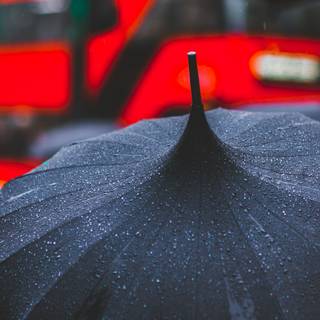 Umbrella 4k wallpaper