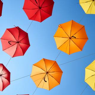 Umbrella 4k wallpaper