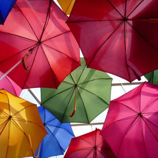 Umbrella 4k wallpaper