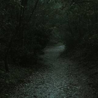 Nature 4k dark wallpaper