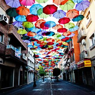 Umbrella 4k wallpaper