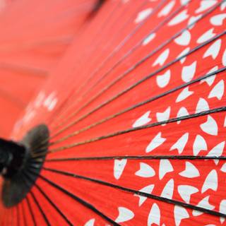 Umbrella 4k wallpaper