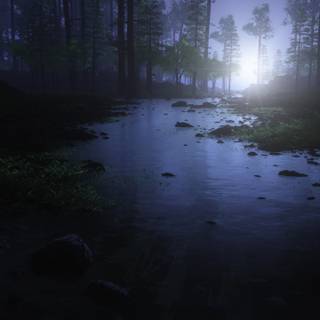 Nature 4k dark wallpaper