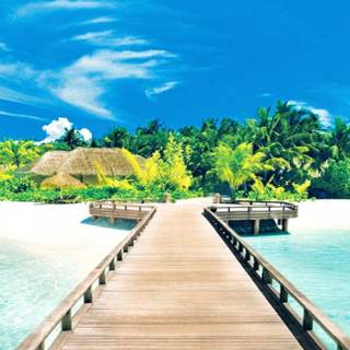 Summer preppy vibes wallpaper