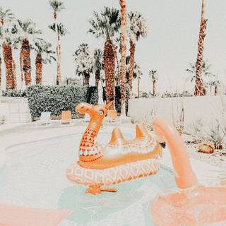 Summer preppy vibes wallpaper