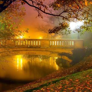 1920x1080 autumn night wallpaper