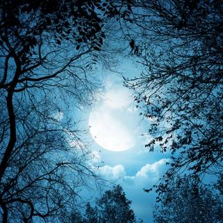 1920x1080 autumn night wallpaper