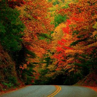 1920x1080 autumn night wallpaper