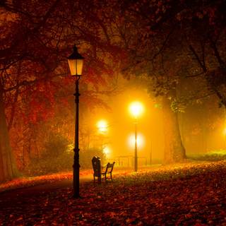 1920x1080 autumn night wallpaper