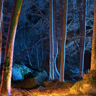 1920x1080 autumn night wallpaper