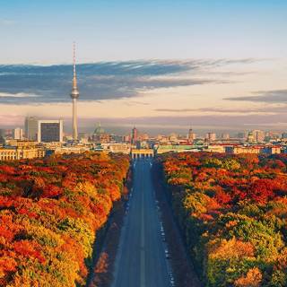 Autumn iPhone 13 Pro Max wallpaper