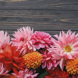 Autumn floral iPhone wallpaper