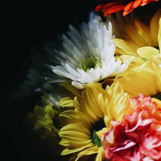 Autumn floral iPhone wallpaper