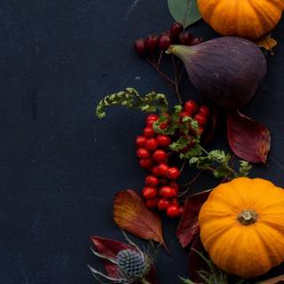 Autumn iPhone 13 Pro Max wallpaper