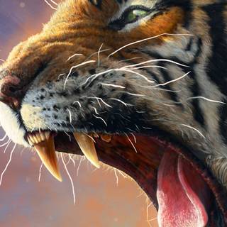 Animal 4k mobile wallpaper