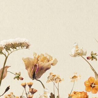 Autumn floral iPhone wallpaper