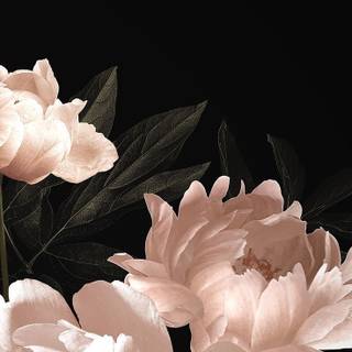 Autumn floral iPhone wallpaper