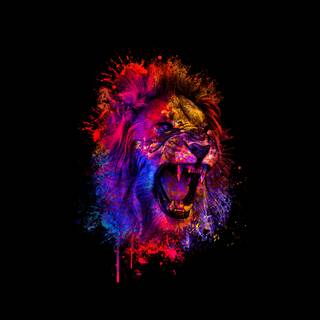 Lion 4k graphics wallpaper
