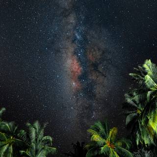 Night scenic wallpaper