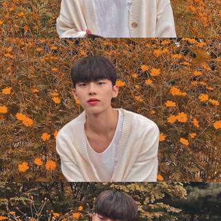 Choi Hyun-Wook wallpaper