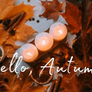 Cozy vibe autumn wallpaper