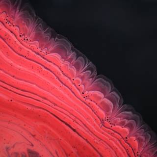 Magenta 4k wallpaper